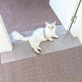 Carpet Protector for Pets Cat Carpet Protector for Doorway, Anti Scratch Under by Oroonoko
