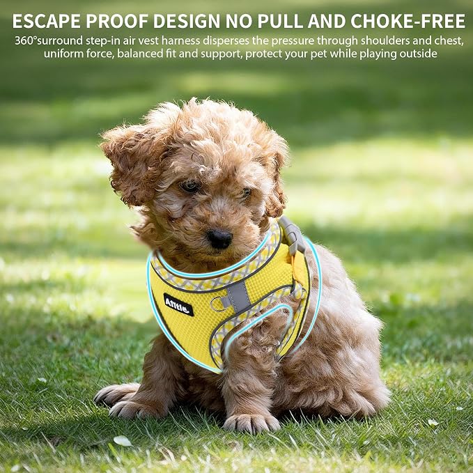 AIITLE Tiny Dog Harness - Image 3