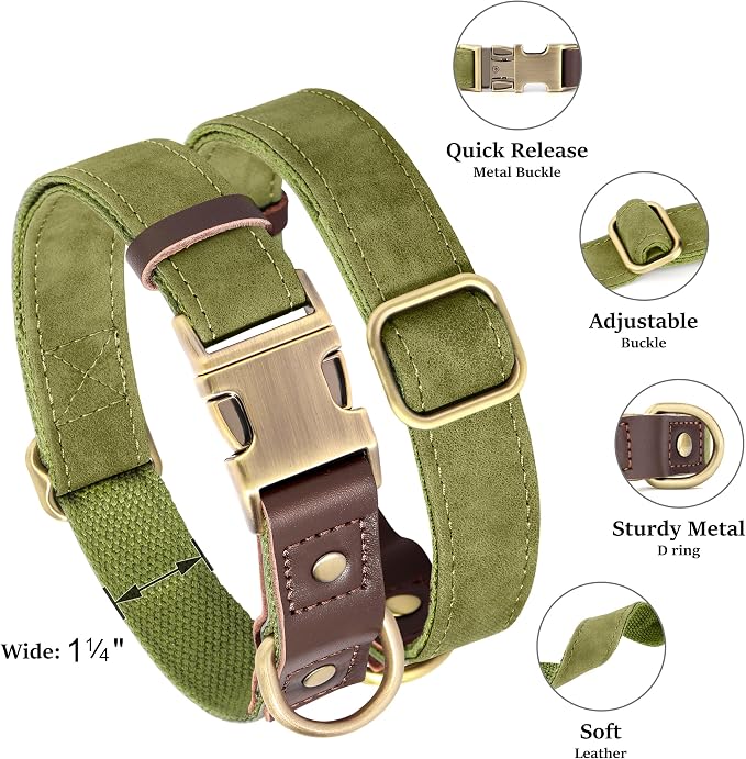 Didog Soft PU Leather Dog Collar - Image 2