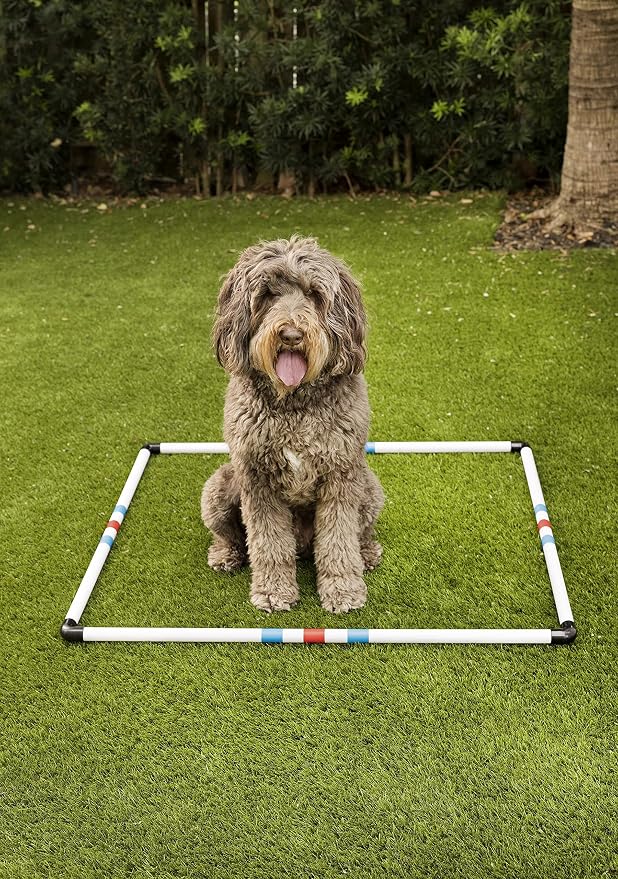 Midlee Dog Agility Pause Box - Image 3