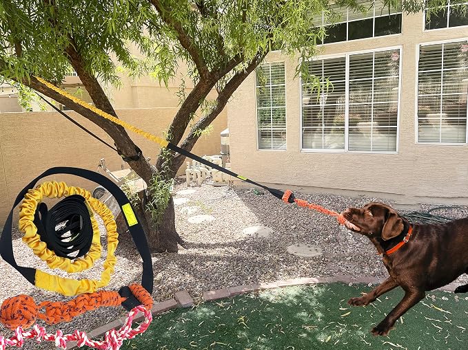 Dog Bungee Toy 20.35 ft Reinforced Interactive Rope - Image 2